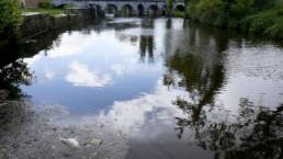 Pollution escaut federation peche