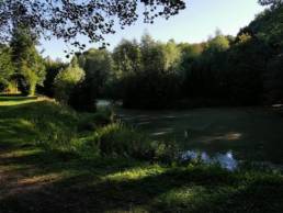 ALLENNES LEZ MARAIS - ETANG DE DON - ETAND 1er POISSON