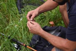 Leurres souples les differentes techniques de peche
