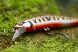 peche aux leurres durs les differentes techniques de peche