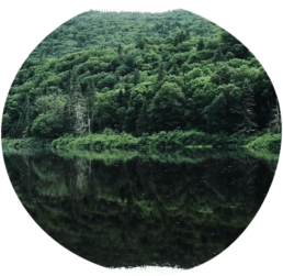 pisciculture brochet
